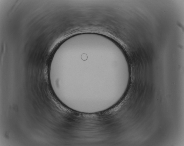 X0000092051498200710101006