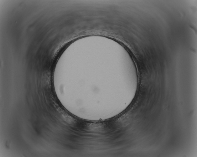 X0000092051499200710101006