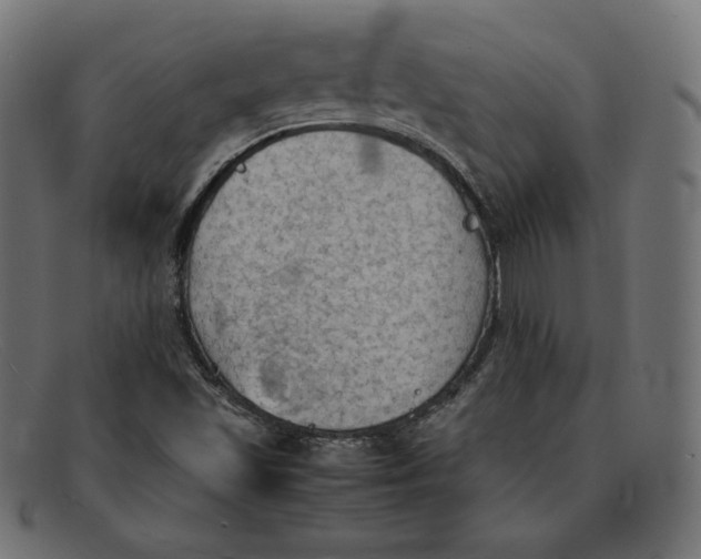 X0000092051501200710101006