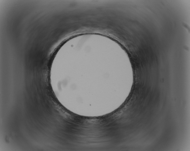 X0000092051502200710101006