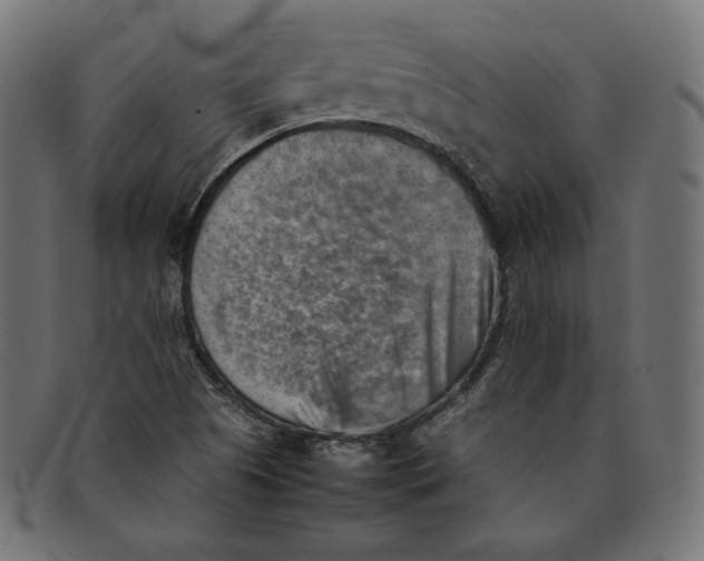 X0000092051505200710101006