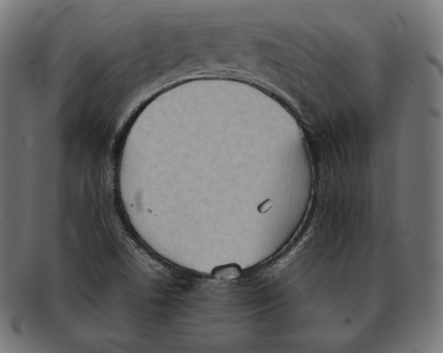 X0000092051506200710101006