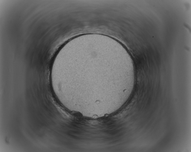 X0000092051507200710101006