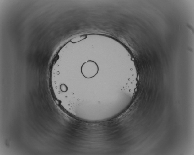 X0000092051508200710101006