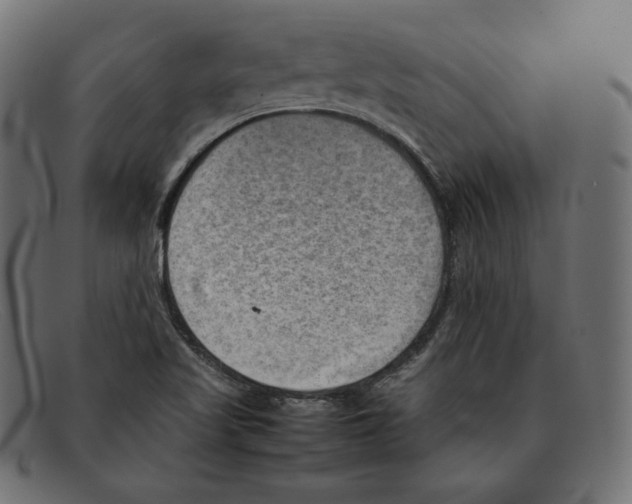 X0000092051509200710101006