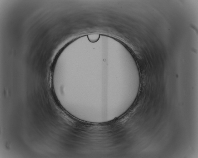 X0000092051510200710101006