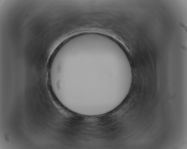 X0000092051511200710101006