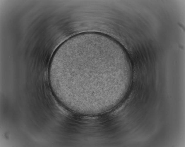 X0000092051513200710101006