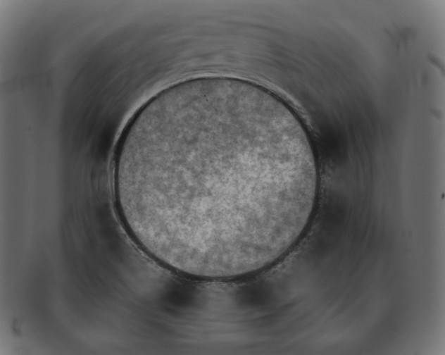 X0000092051514200710101006