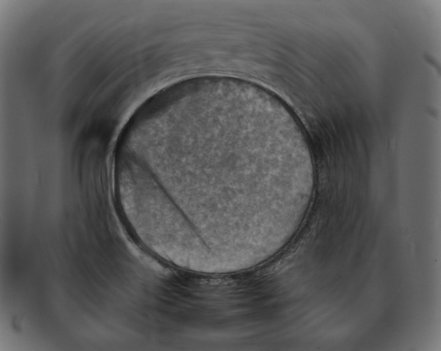 X0000092051515200710101006