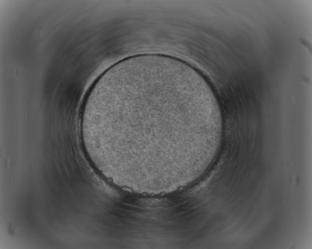 X0000092051517200710101006