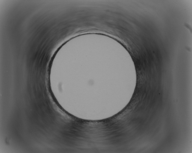 X0000092051518200710101006