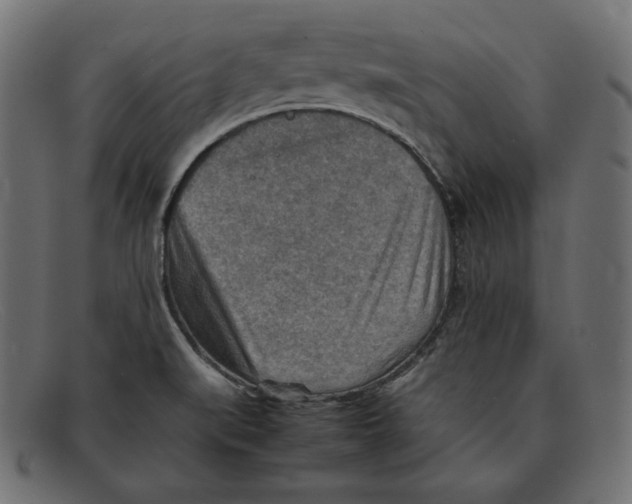 X0000092051519200710101006