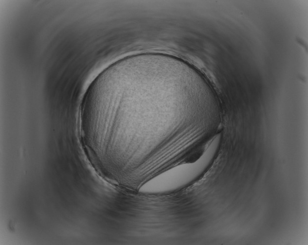 X0000092051520200710101006