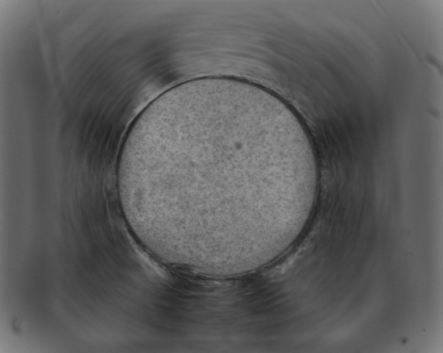 X0000092051521200710101006