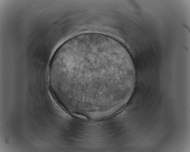 X0000092051522200710101006