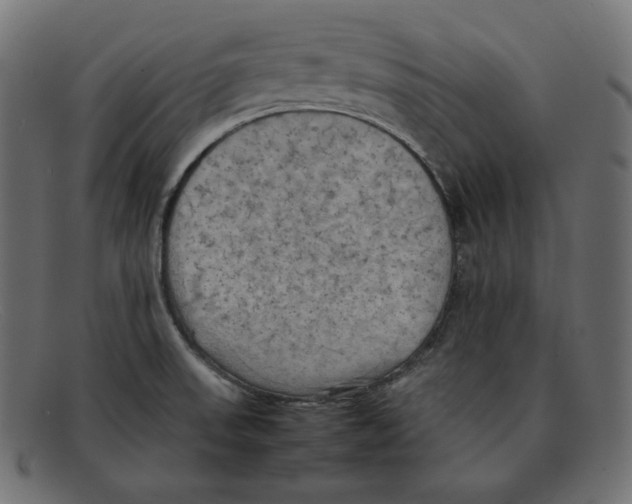 X0000092051523200710101006