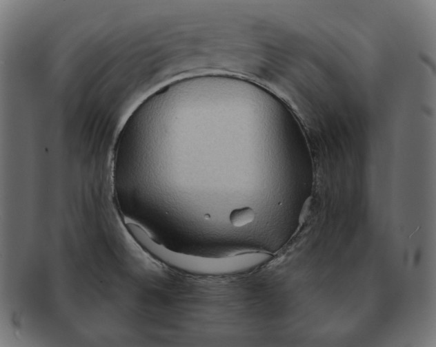 X0000092051524200710101006