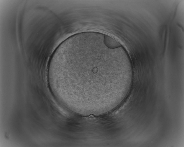 X0000092051525200710101006