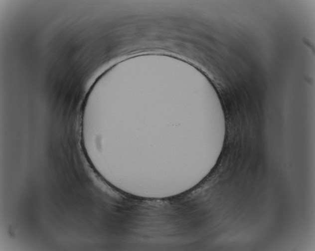 X0000092051526200710101006