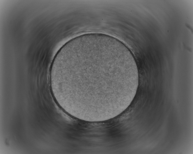 X0000092051527200710101006