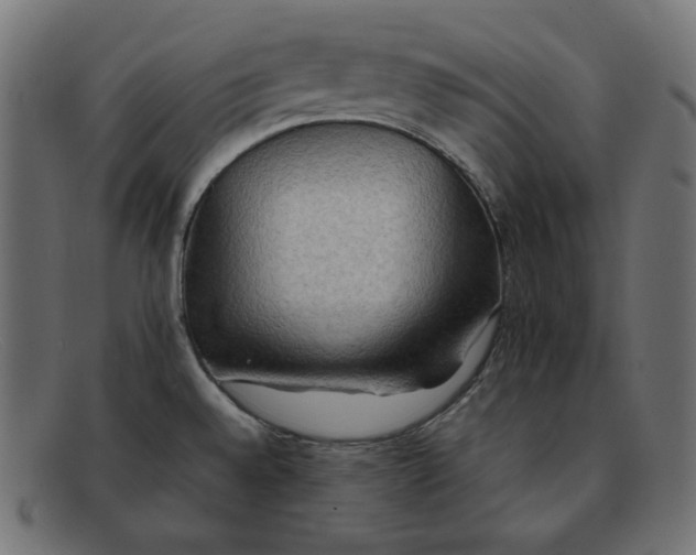 X0000092051528200710101006