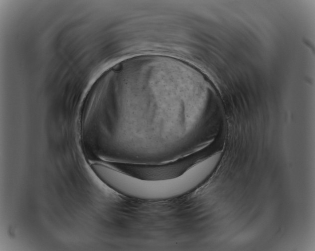 X0000092051531200710101006