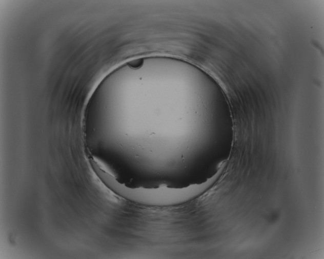 X0000092051532200710101006