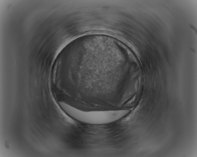 X0000092051533200710101006