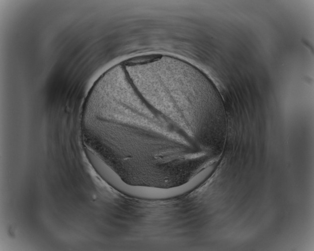 X0000092051534200710101006