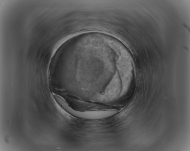 X0000092051535200710101006