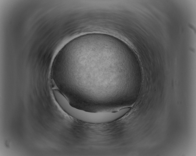 X0000092051536200710101006