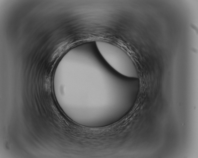 X0000092060002200709121015