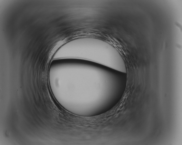 X0000092060003200709121015