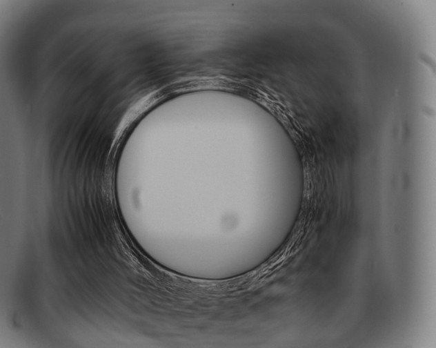 X0000092060004200709121015