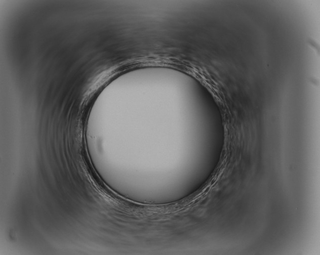 X0000092060005200709121015