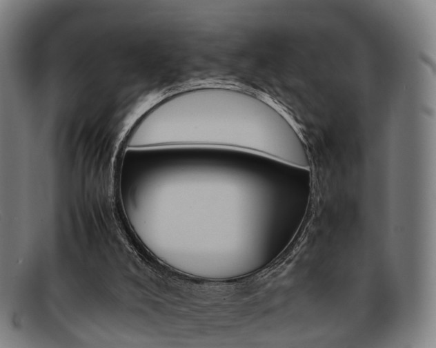 X0000092060008200709121015