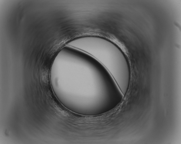 X0000092060009200709121015