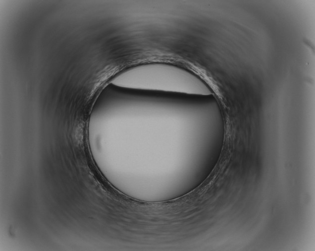 X0000092060010200709121015