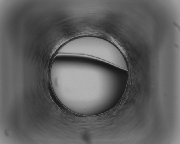 X0000092060011200709121015