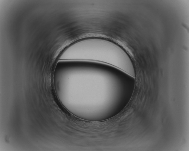 X0000092060015200709121015