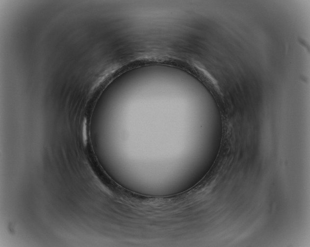 X0000092060020200709121015