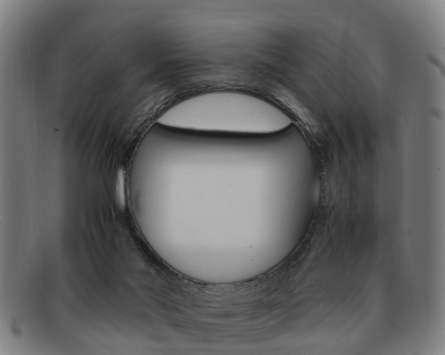 X0000092060022200709121015