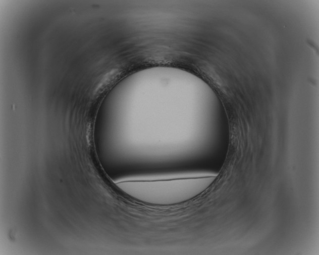 X0000092060023200709121015