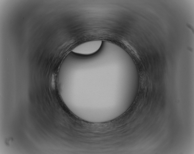 X0000092060026200709121015