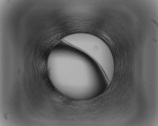X0000092060029200709121015