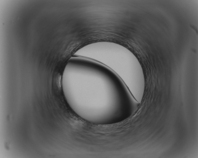 X0000092060041200709121015