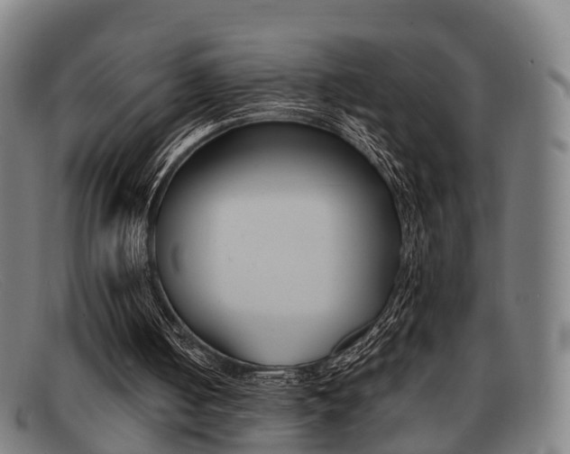 X0000092060050200709121014