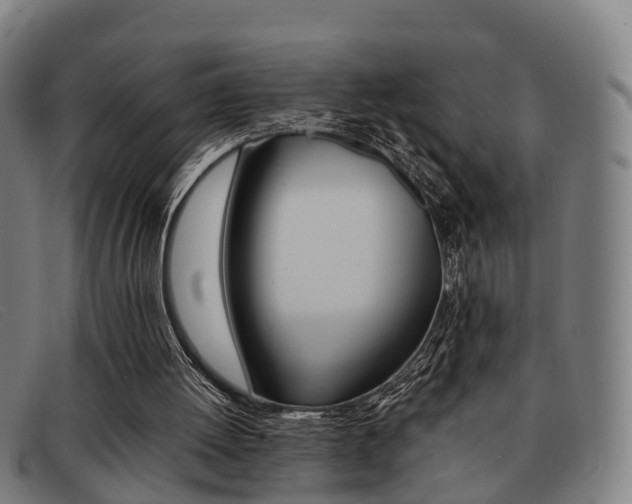 X0000092060052200709121014