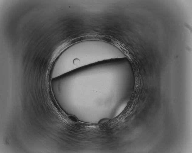X0000092060053200709121014